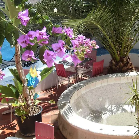 The White Butterfly Hostel Λάγος