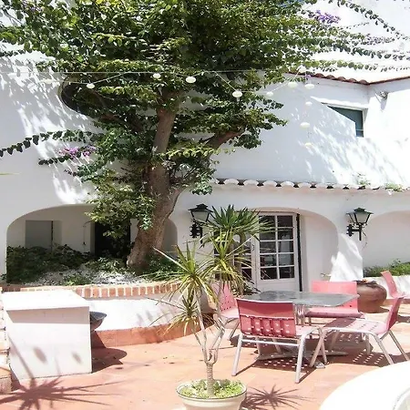 The White Butterfly Lagos