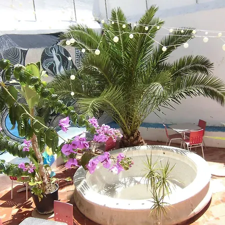 Albergue The White Butterfly